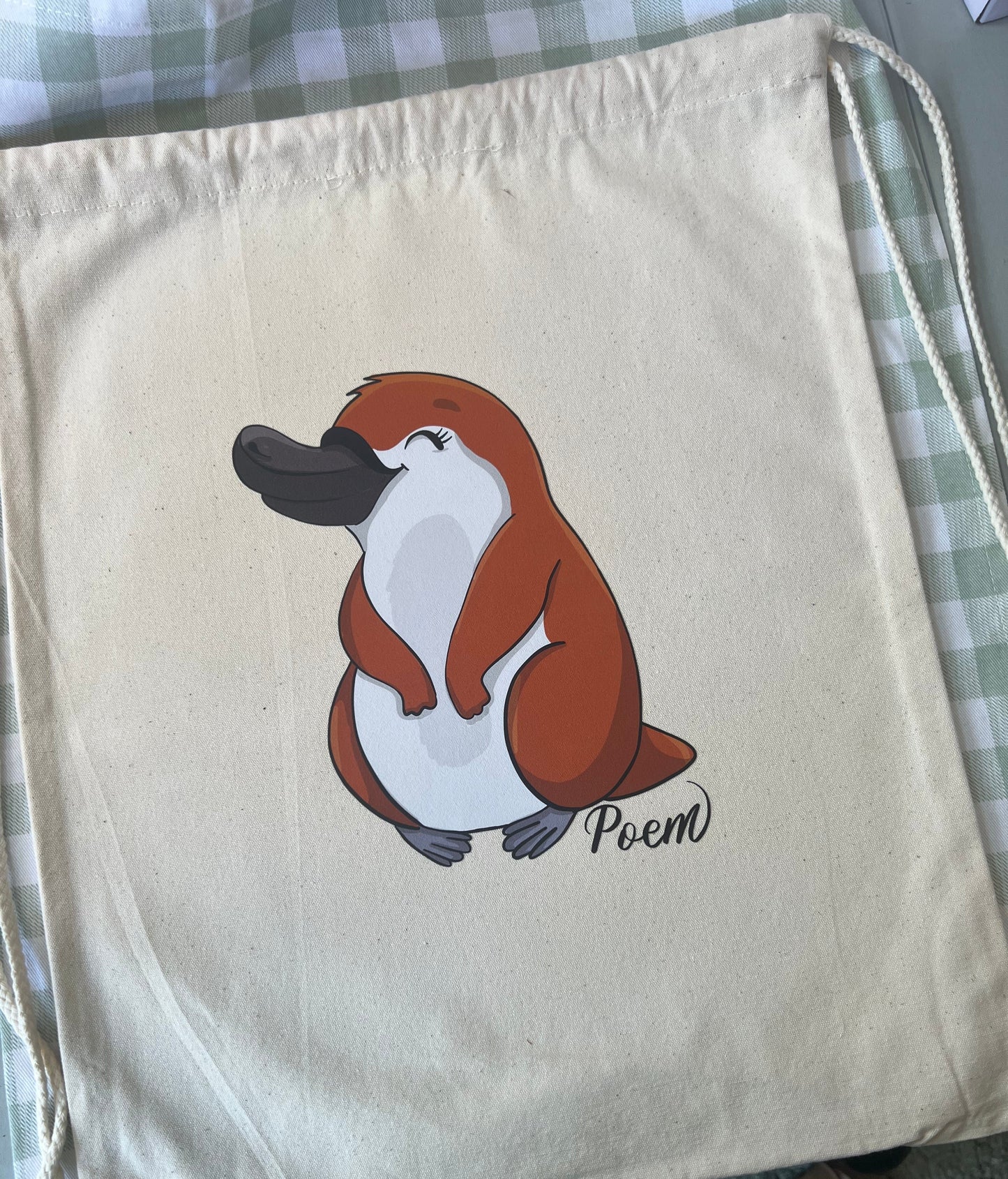 Canvas Drawstring Backpack / Santa Sack !